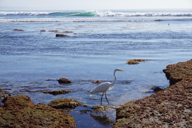 47333246-062c-42a2-9c2a-8987bd6d1ca1