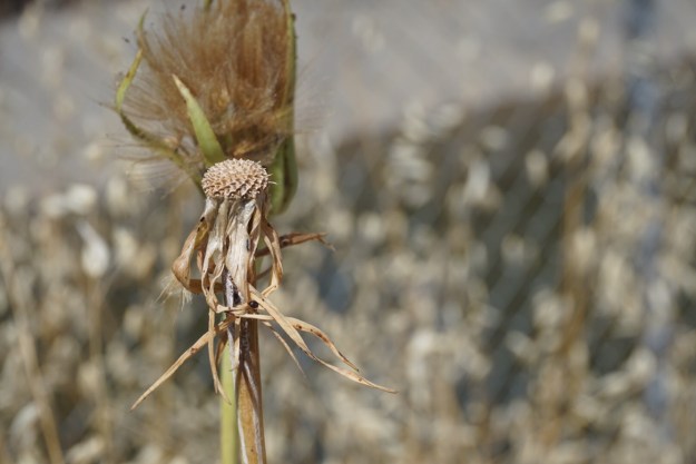 47e3f9aa-b03a-462b-9da6-dedaa652334a