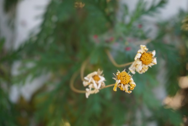 4a3a66fc-03ee-44c7-892d-7f4cc0792055-1