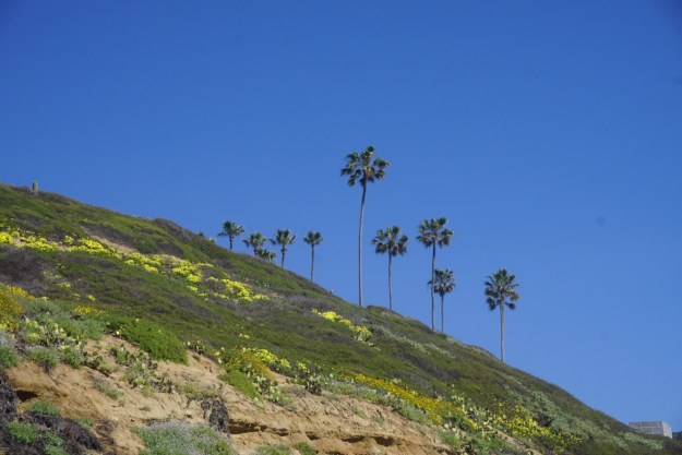 4a961f5d-59dc-497d-8d4e-5e75bb60d1c7