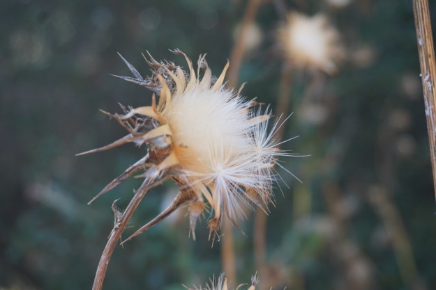 4d25a127-7a7d-41af-8a82-79ed6bf5af8c