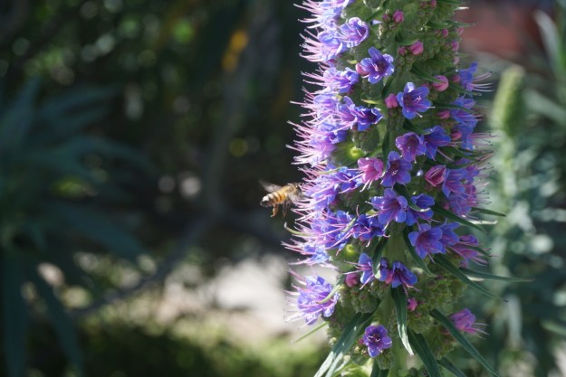 52316724-876c-4c8c-88a7-502ccd4bb50a