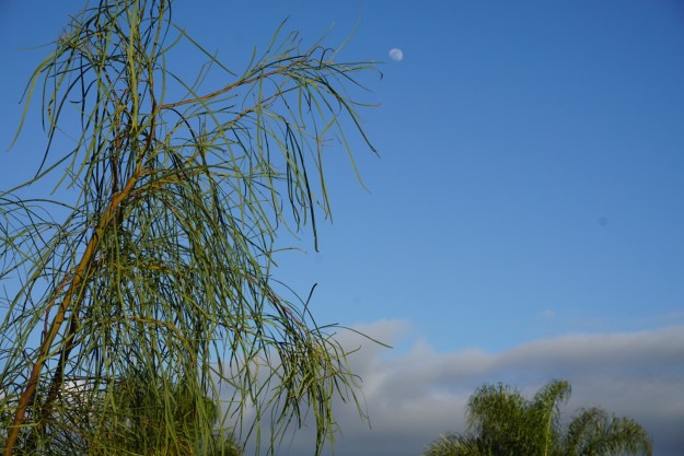 5268f5d4-7e35-411f-9b94-628b16ae1336