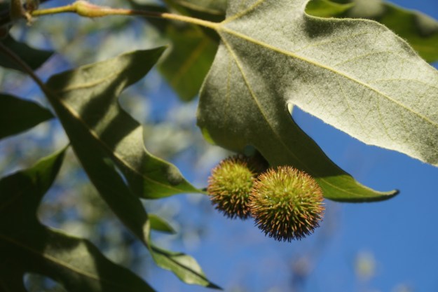 55160a92-3572-40f7-8f82-8c2b94a0d2f2