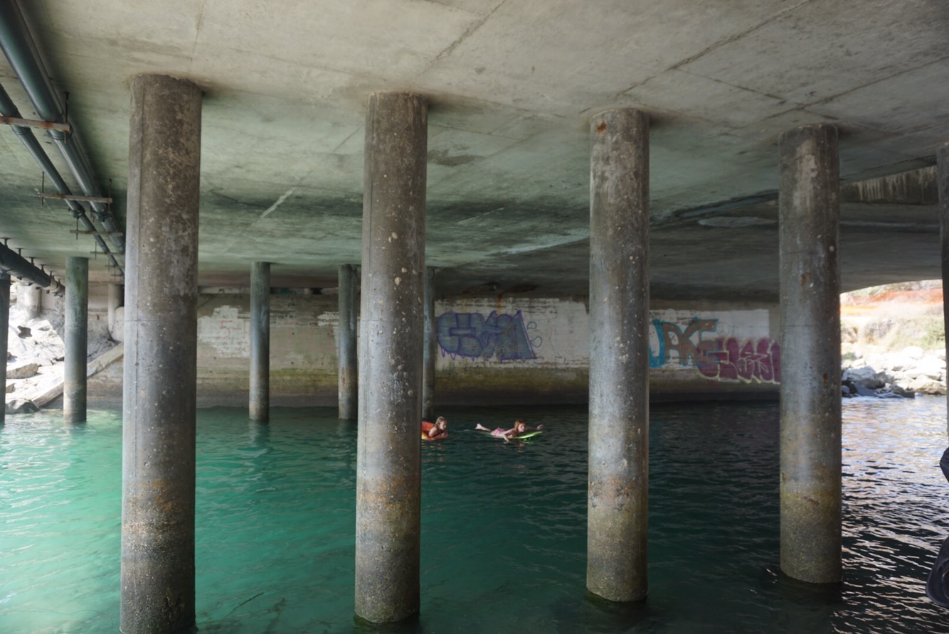 55910796-fd3f-4e46-835e-62f063f4b8b9