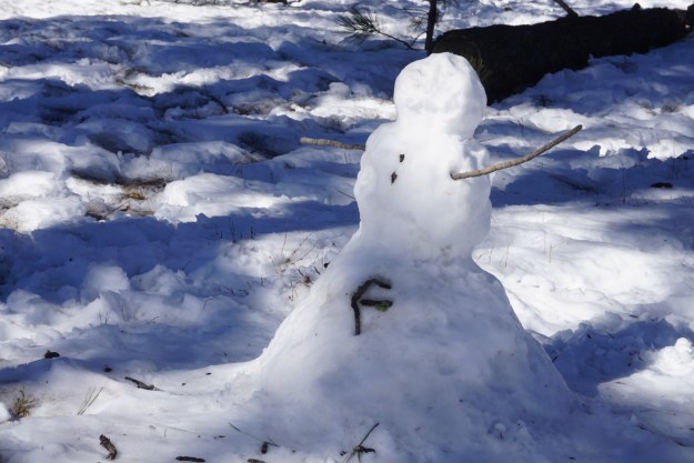 56248176-0e15-4187-bacd-aab33a1828b3