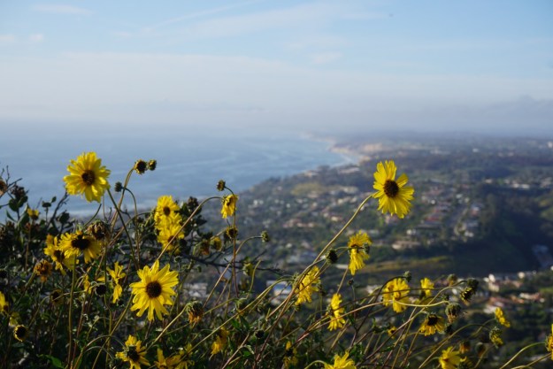 565d9d7c-f0c4-4331-8c0a-0eb8bdab637a