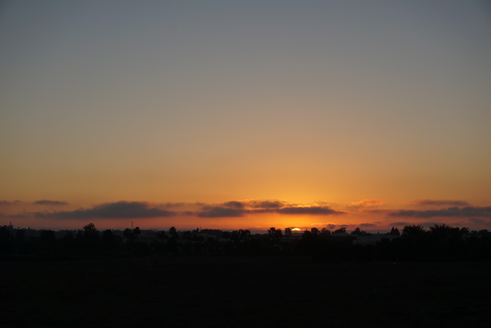 5eb43d60-0667-44df-962f-45f134ad0c1b