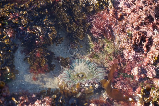 636d92a4-149d-4c71-af9f-3b03fb026c6b