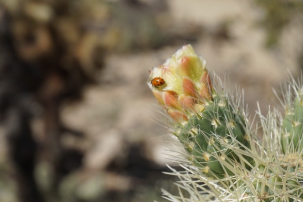 664a84b8-ef1d-4418-9395-410c49d230c1