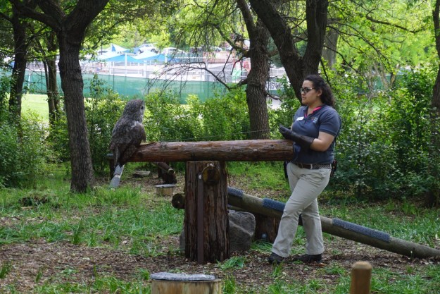 696ed70f-8a99-4e01-91d2-53b7bd45fc45