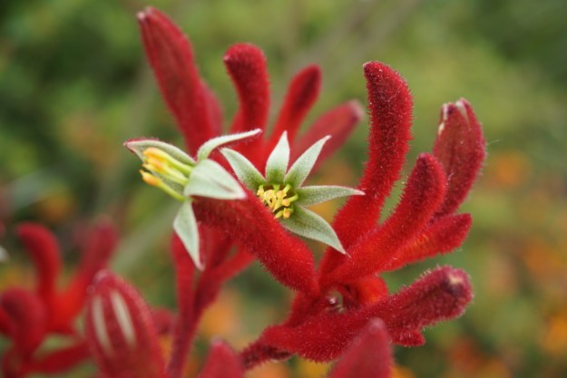 69ad02b8-6271-4a91-8b44-2b04719631da