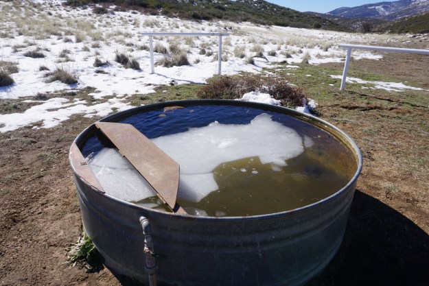 69f7749e-34b3-4cea-9798-8ed83d1cd84b