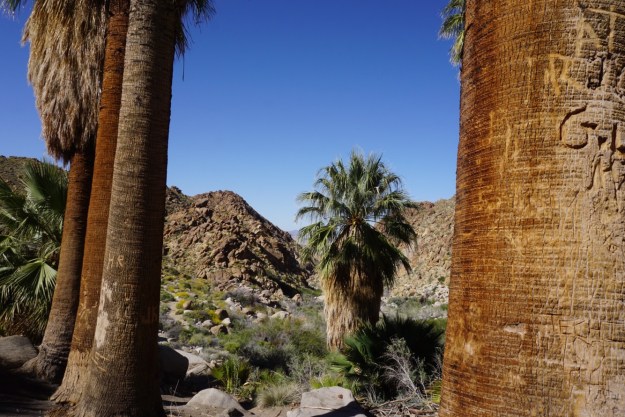 73cbbf57-55be-444a-a174-e4fbba31f540