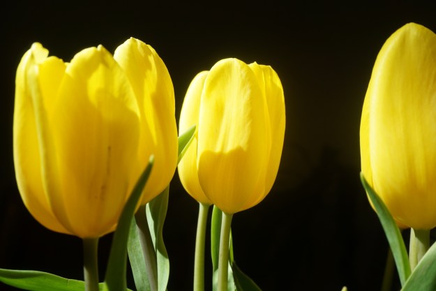 75079461-5b80-48c0-9c9c-b79945c07b4a