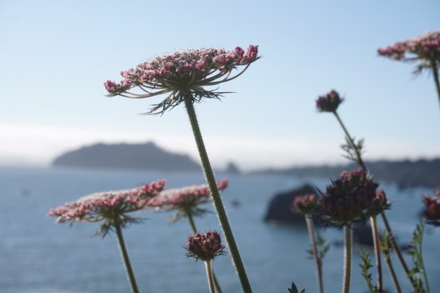 7834b2b2-536d-43ef-b000-29873ecc6981