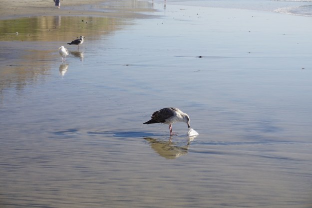 7aeb8a5c-5f57-4a1c-aa93-69b7588c9971