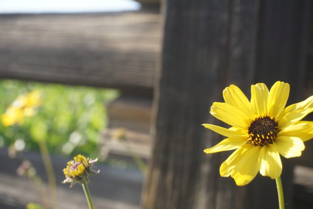 826faf66-93e8-42bb-a76b-decffa10e0d8