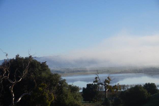 8344f3a1-17ba-4959-92b0-f6a80549da46