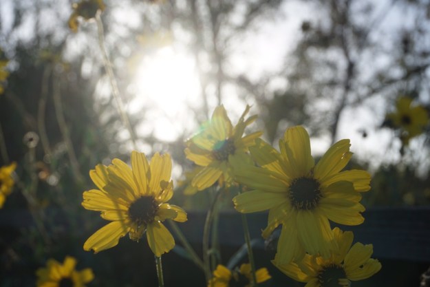 83ad892a-7d62-4907-b27a-b69424a465d3