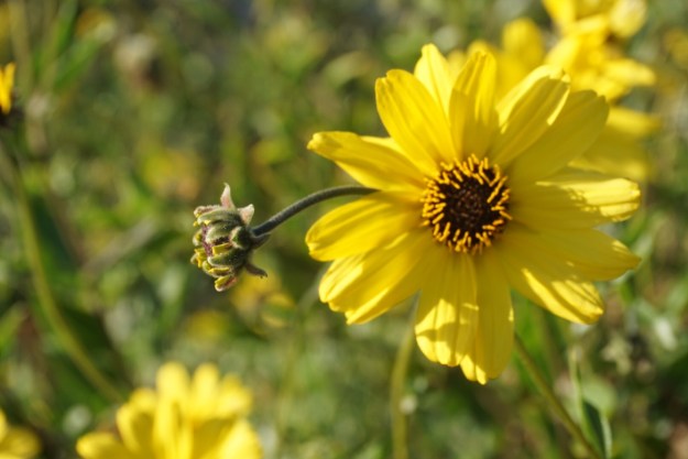 856e0c82-0ff9-43bf-83d1-a0caa6b07e03