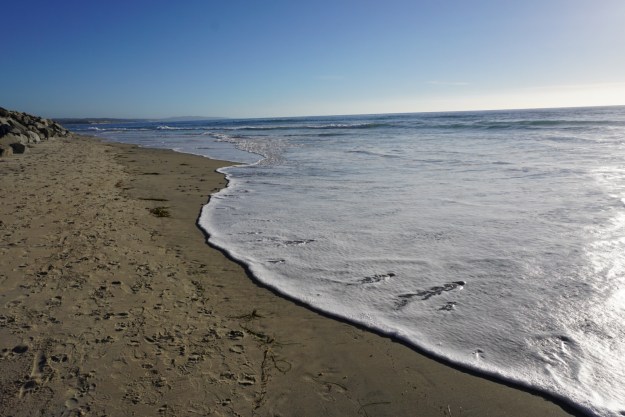 8ede590d-6d36-43c7-bf37-90fb40f55456