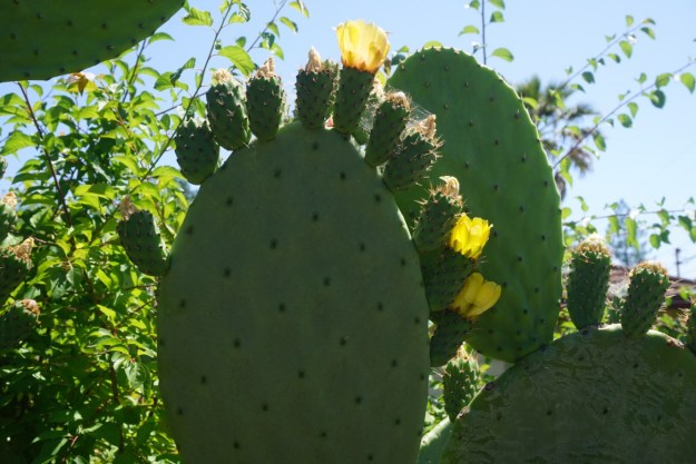 900f2ec3-fbee-4bc0-b3f4-d5a6a0b94101