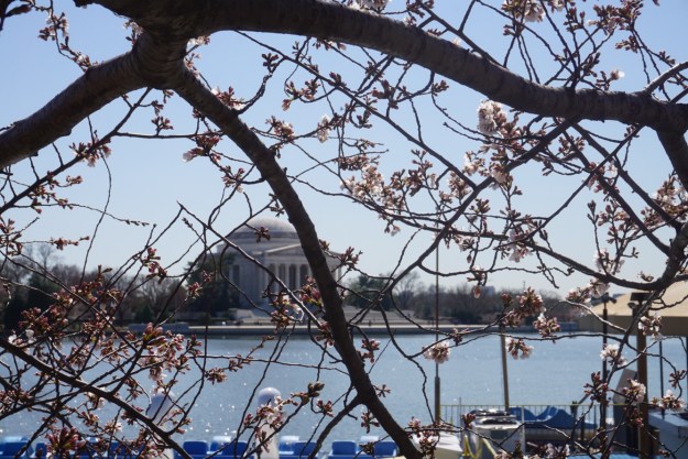 90cc2aef-a88d-4714-90c3-378c9c6b89c6