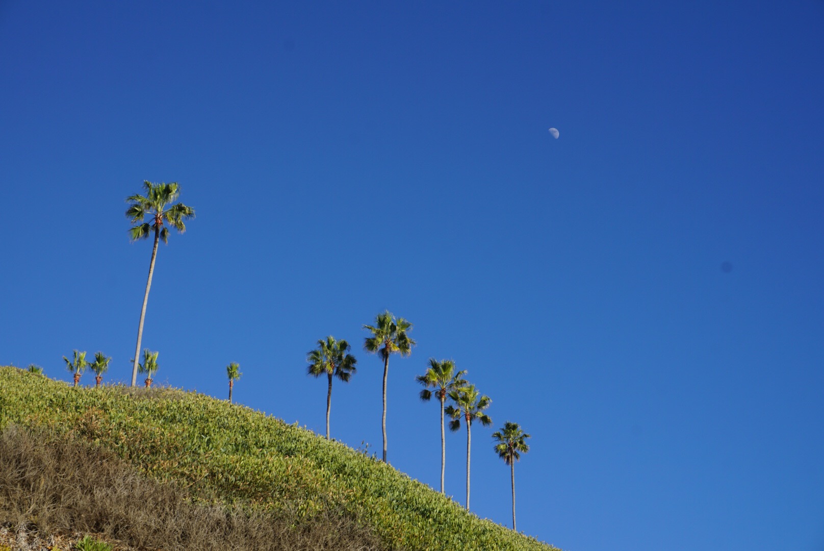 9365afb0-2b8d-4e36-b075-229c26dce2f6