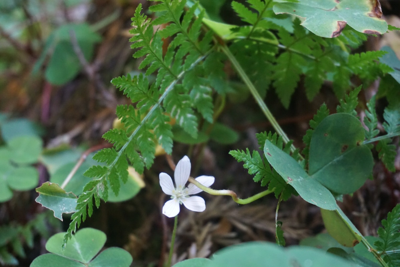 94193cd0-d6db-47a7-a764-ff2e00048692