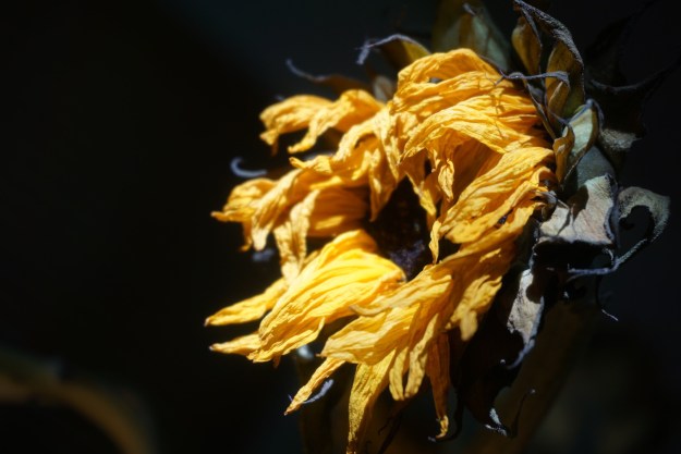 968c12f1-e842-4cad-8498-bb08918b4cba