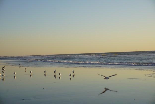 96a7ac5a-bf9f-4c27-aeb7-245be7436f5f