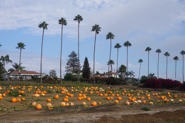 985b8802-358f-4309-a45d-c77ee775ef28