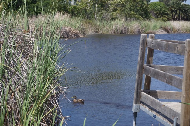 995fc095-ddea-4c46-894a-5e1a9f56fe60