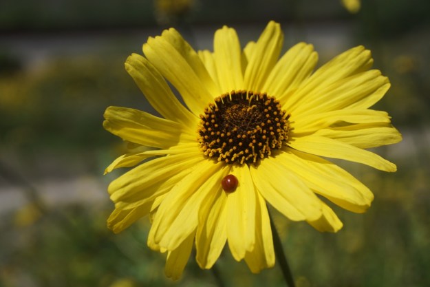 9f1be277-7a6e-4fb8-9f66-2ebd6eb7875e