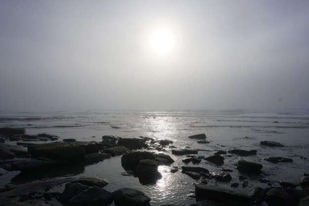 a780189a-3e65-48ce-8173-f43ca811e1e6