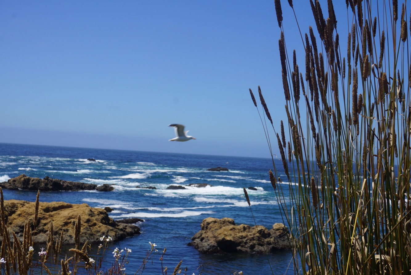 a884cf7b-fad3-4780-9521-9ff0049c6bc4