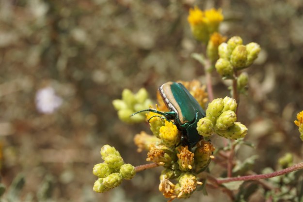 aa01af26-202a-49c8-9963-95075b705376