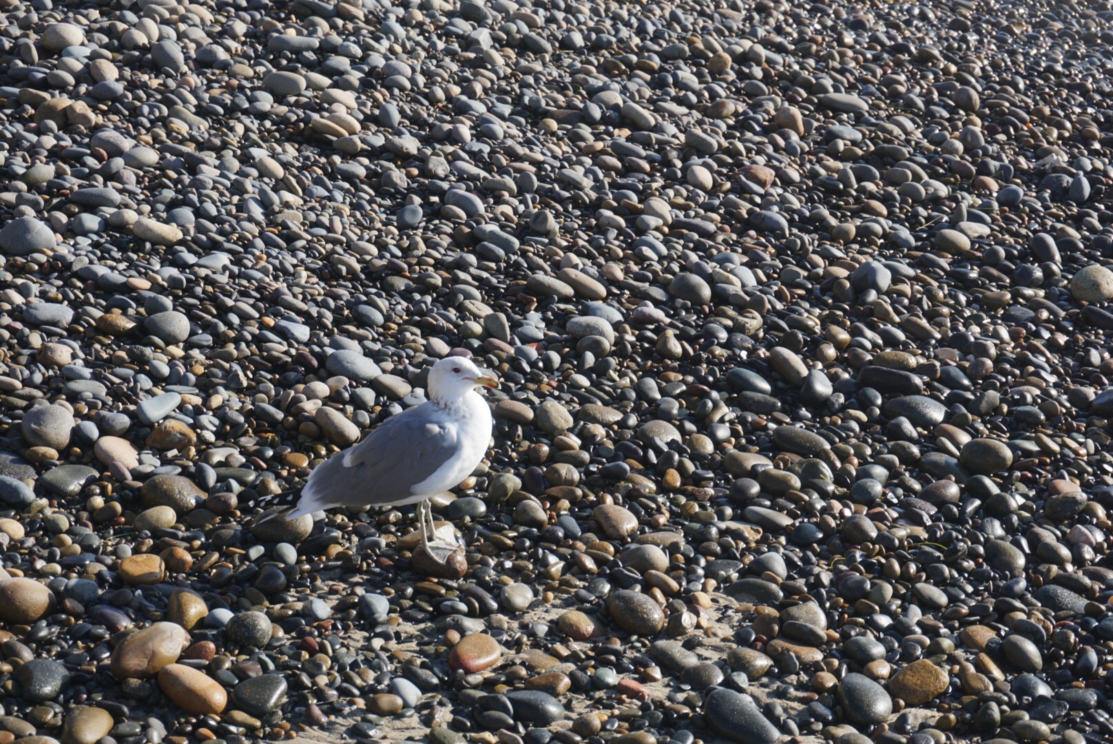 ae9ef23b-3efe-4284-b5bf-b3848e4d508a