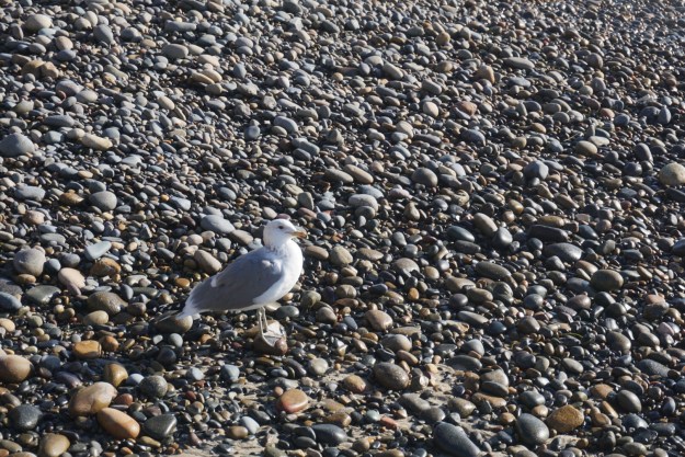 ae9ef23b-3efe-4284-b5bf-b3848e4d508a