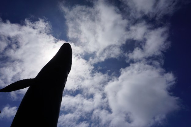 b02452bf-eee4-43c6-ad1c-d78ad2a3f6db