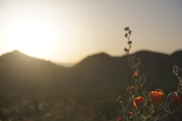 b3b6ab33-90e2-41ec-83dc-58d6e084a776