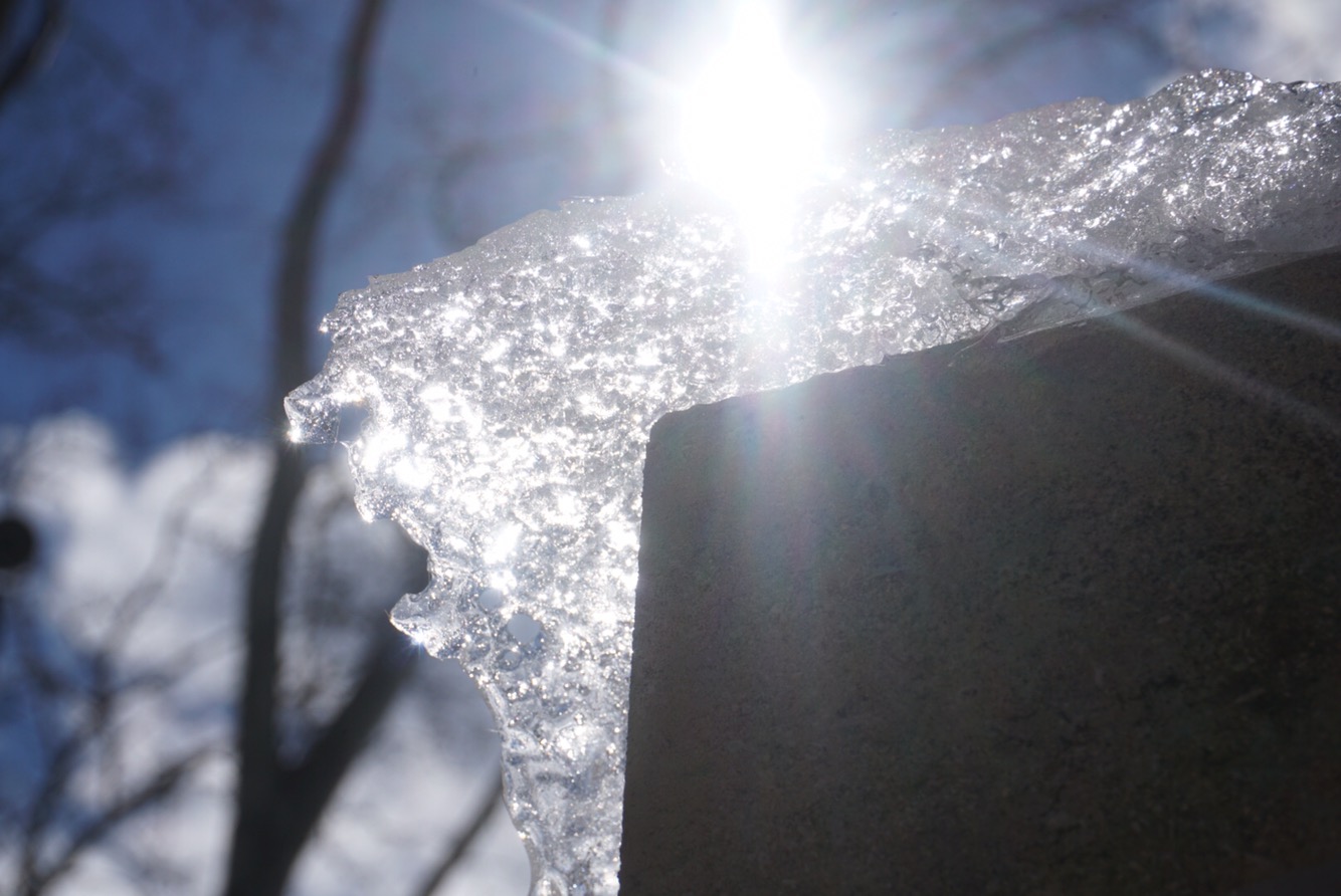 ba65fd78-1f60-4298-b1d2-13dd80f1c4c1