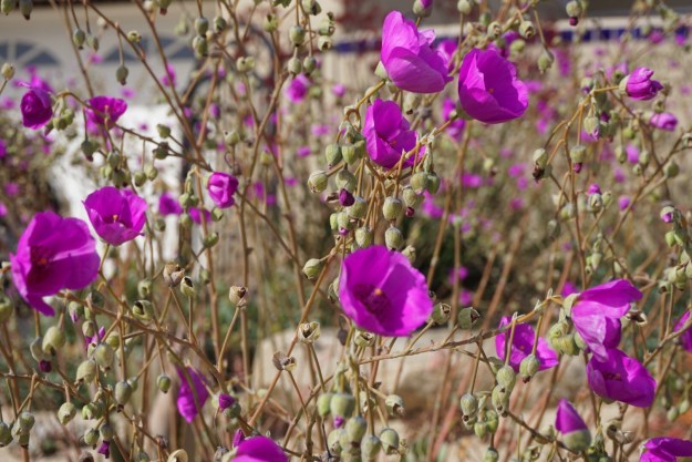 bc89a1cd-5224-47b5-b7d2-022e307e2694