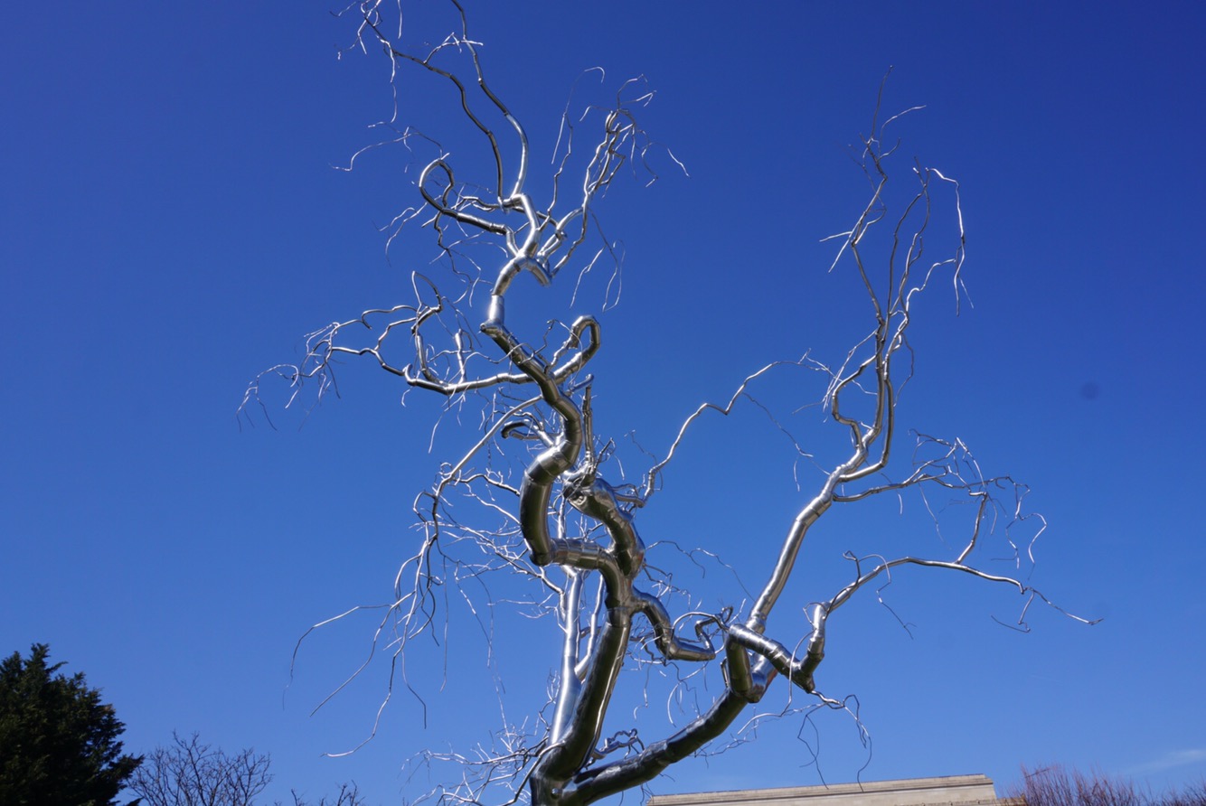 bdc1112f-2420-40f1-8129-6fbc533d134a