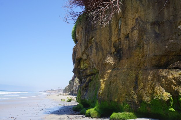 bde65fcd-e6e1-42f4-b1d7-11b2d165546d