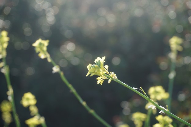 c1950932-5380-43ff-a619-013419e35cc9