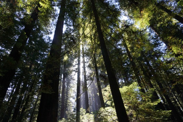 c2562292-19fb-44fd-a3fe-90a8c15d146f