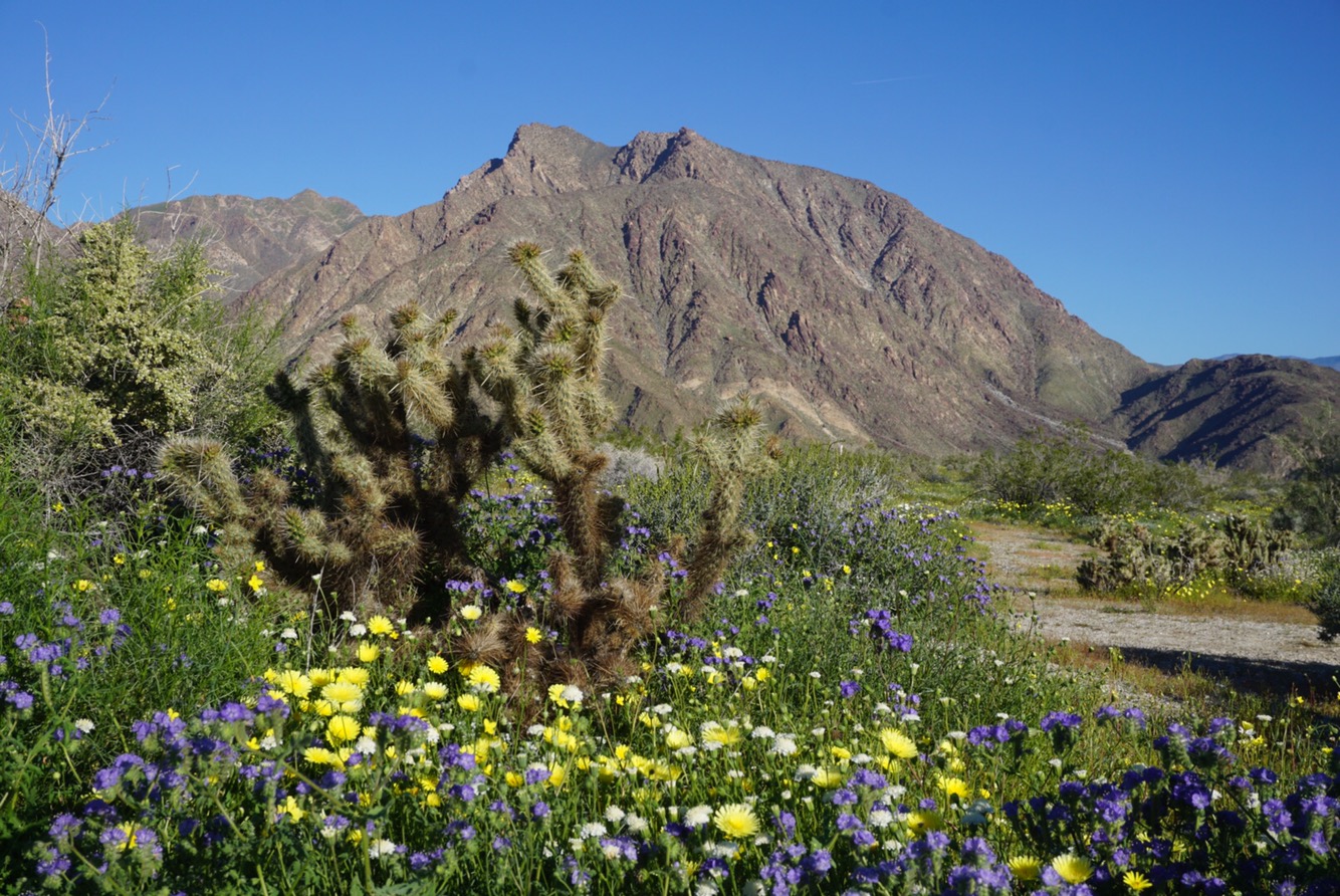 c5f8ef09-b987-4975-b7d7-47bd23abcef7