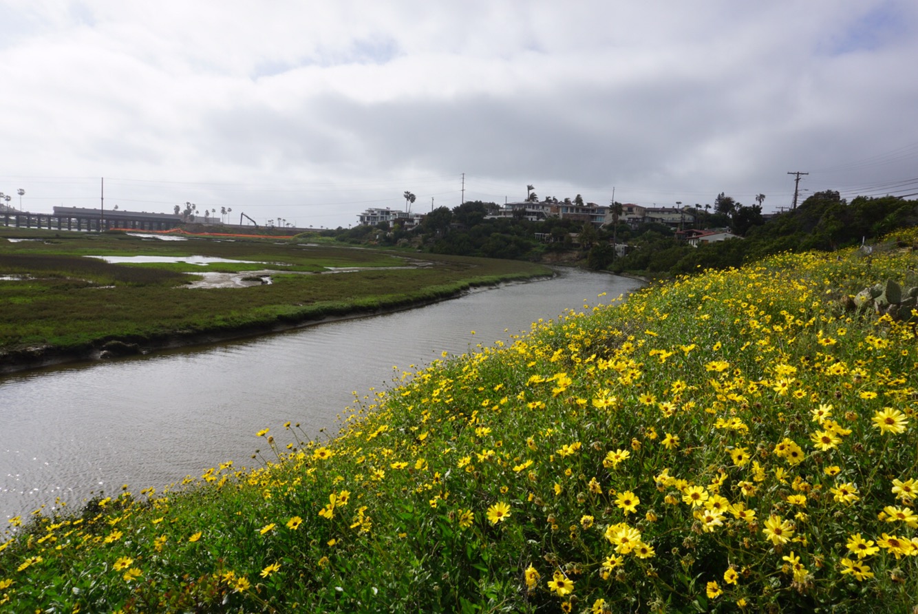 ce3e42e2-c295-4567-a840-9faaa8bc359d